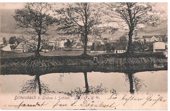 liebau-19