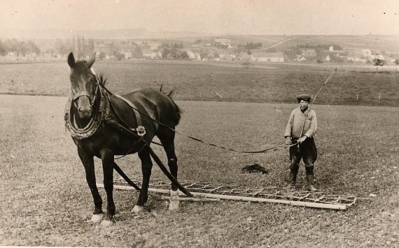 Landleben