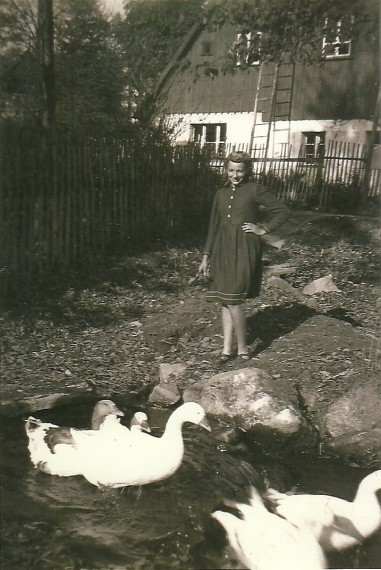 S. 087 - Hermsdorf städt. Nr. 29, Gänsehüten