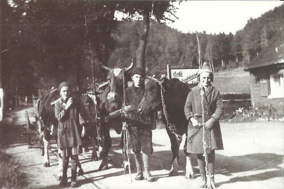S. 120 - Hermsdorf städt. Nr. 164, beim Kaffeehäuschen